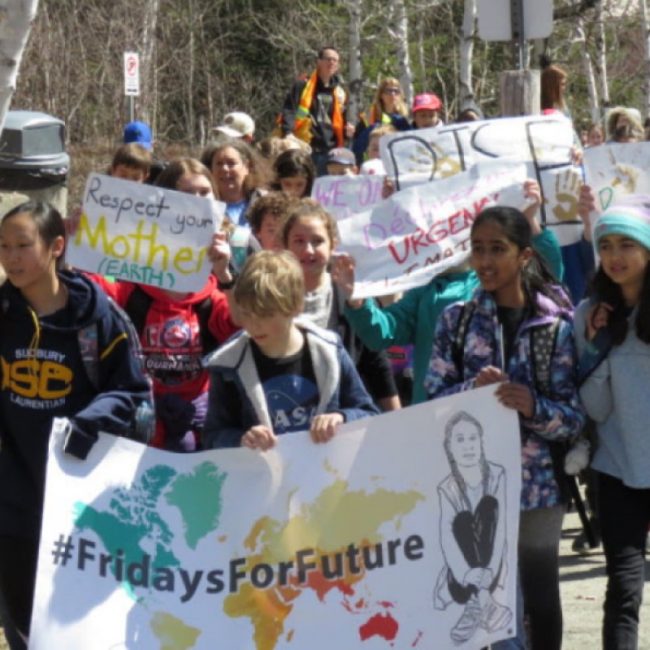 Fridays for the Future Youth